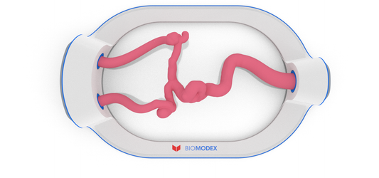 EVIAS -HMS -Cartridge - #33