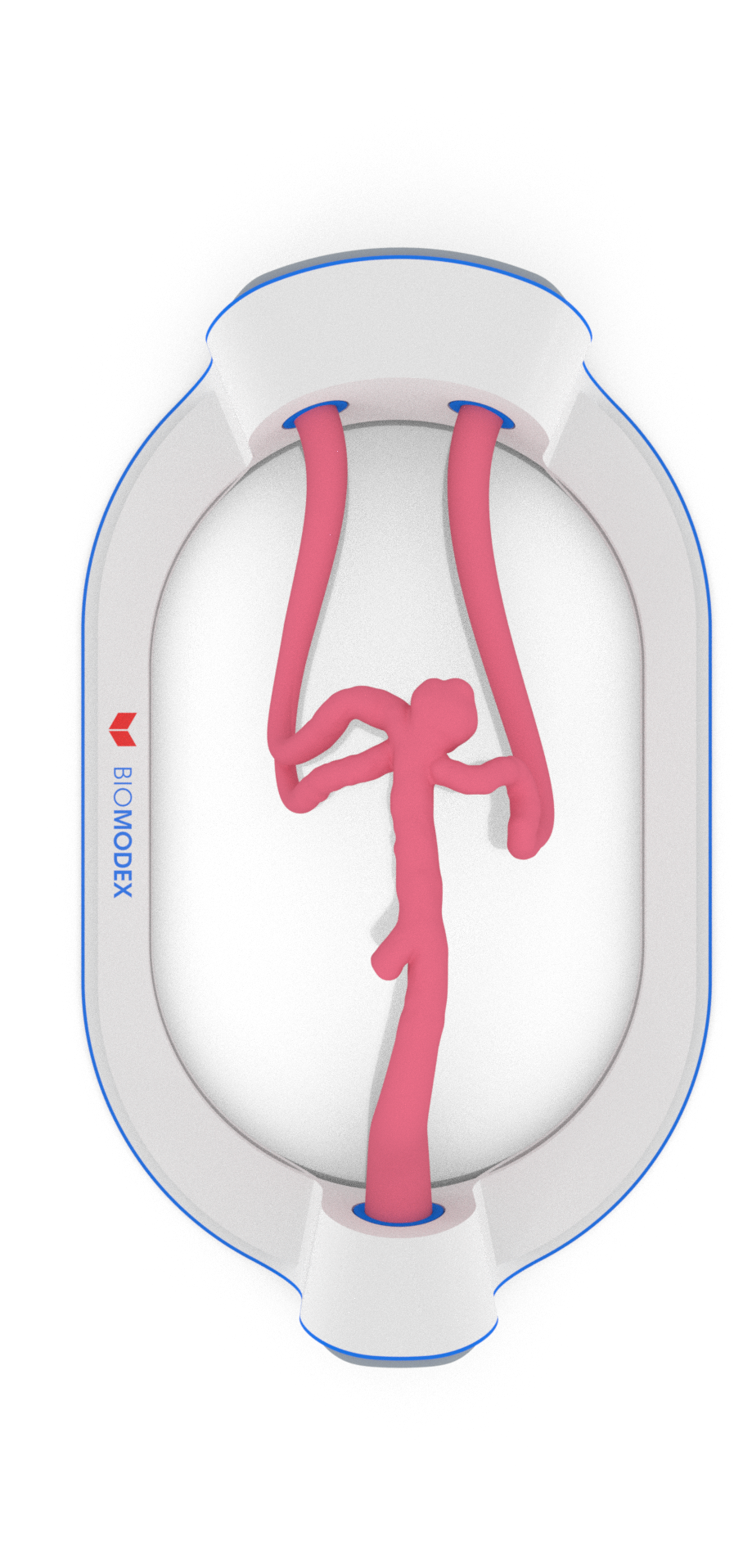 EVIAS -HMS -Cartridge - #189