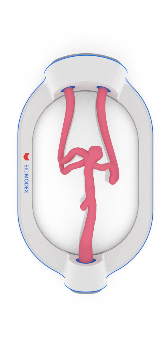 EVIAS -HMS -Cartridge - #189