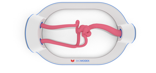 EVIAS -HMS -Cartridge - #193