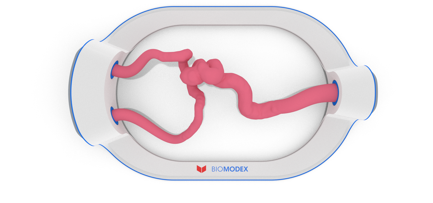 EVIAS -HMS -Cartridge - #194