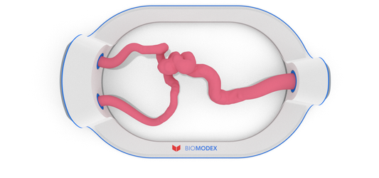 EVIAS -HMS -Cartridge - #194