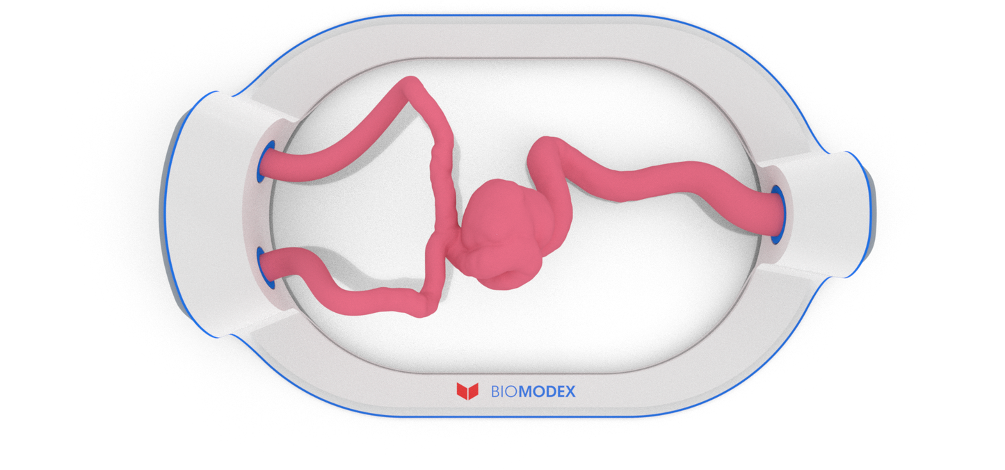 EVIAS -HMS -Cartridge - #196