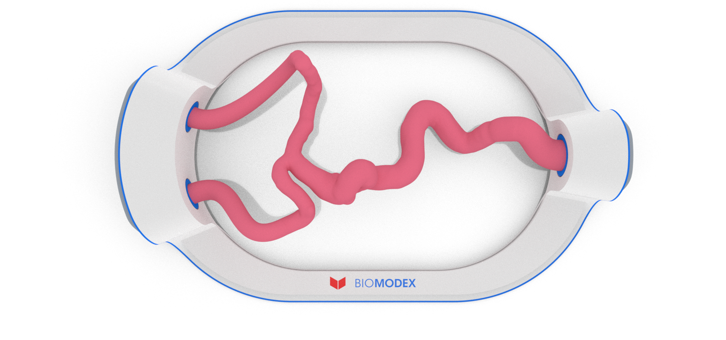 EVIAS -HMS -Cartridge - #197