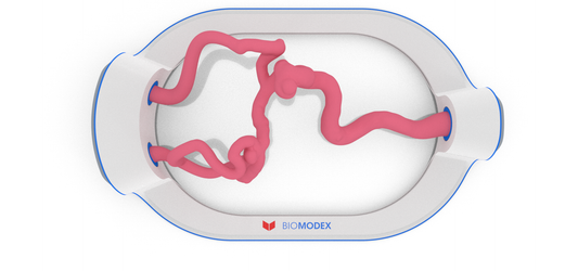 EVIAS -HMS -Cartridge - #198