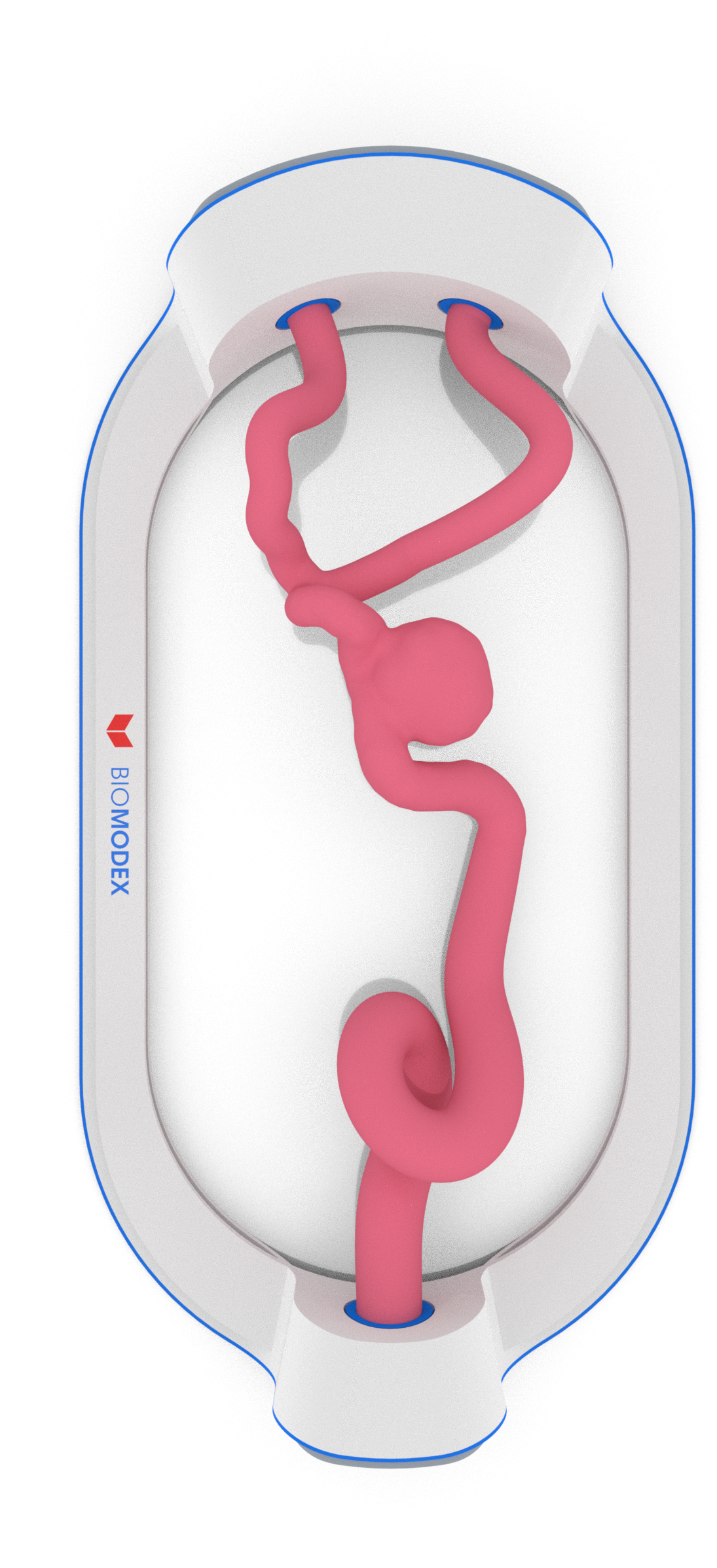 EVIAS -HMS -Cartridge - #60C (Ajay Loop)