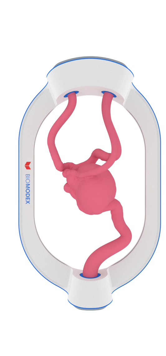 EVIAS -HMS -Cartridge - #173