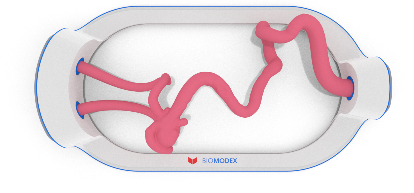EVIAS -HMS -Cartridge - #200