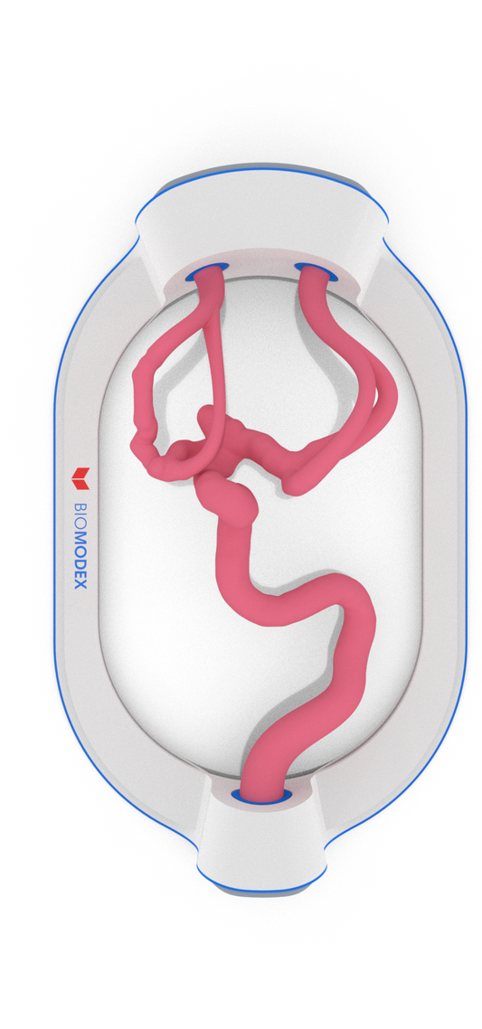 EVIAS -HMS -Cartridge - #201