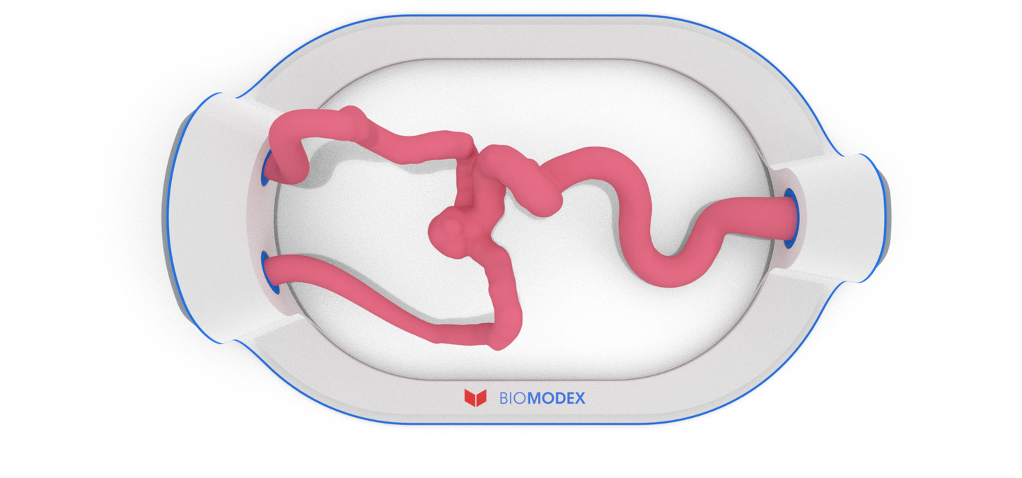 EVIAS -HMS -Cartridge - #202