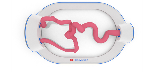 EVIAS -HMS -Cartridge - #202