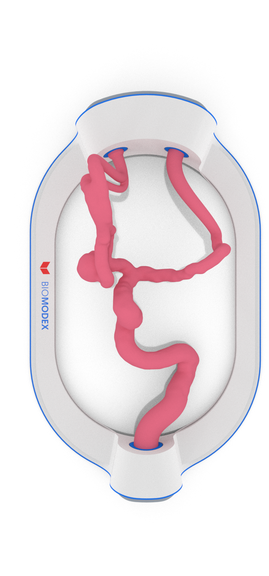 EVIAS -HMS -Cartridge - #205
