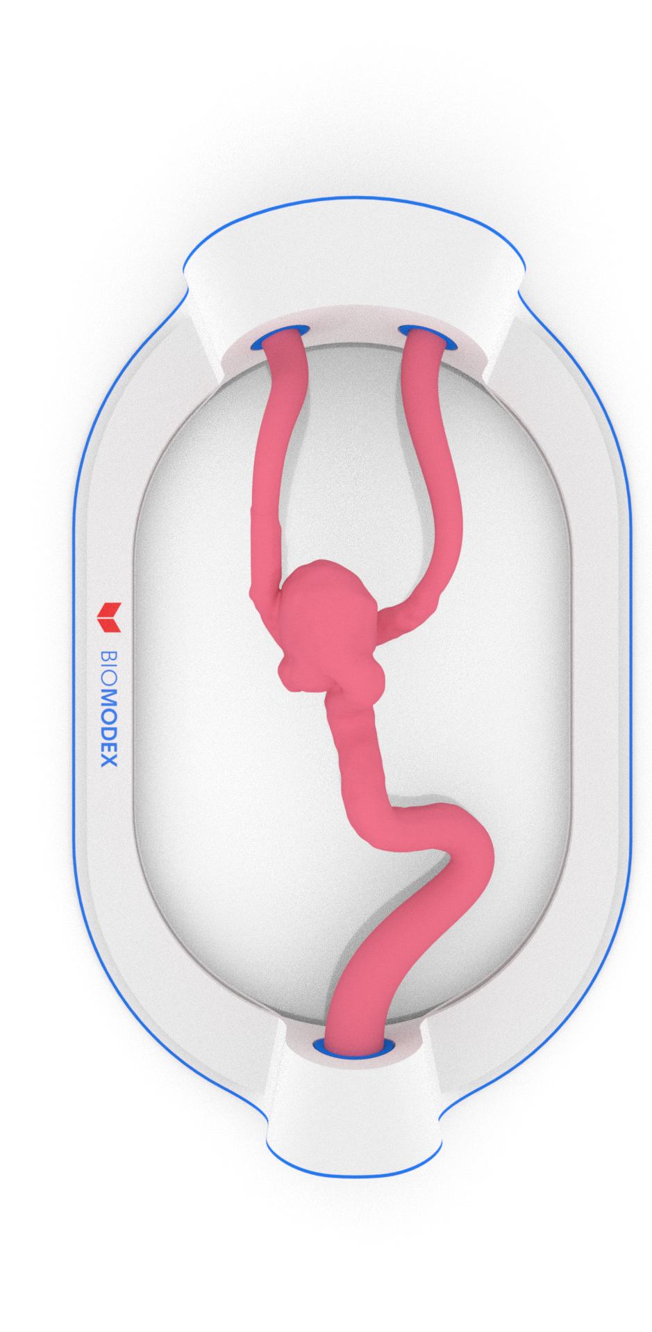EVIAS -HMS -Cartridge - #60A (Omega Loop)