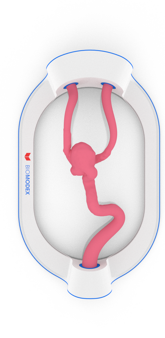 EVIAS -HMS -Cartridge - #60A (Omega Loop)