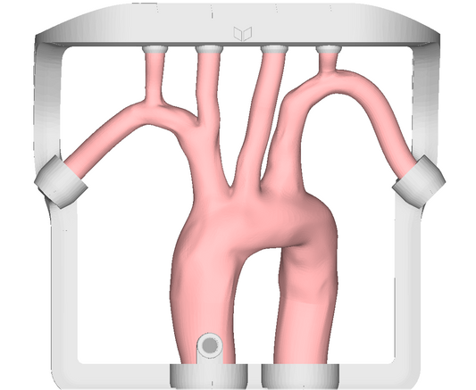 EVIAS Plus  - Training Aortic Arch