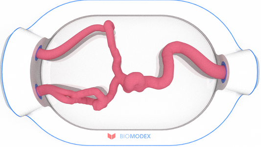 EVIAS -HMS -Cartridge - #0516