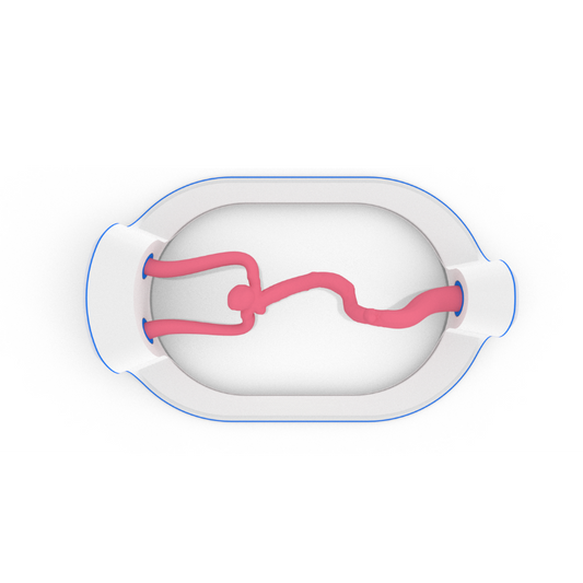 EVIAS -HMS -Cartridge - #8