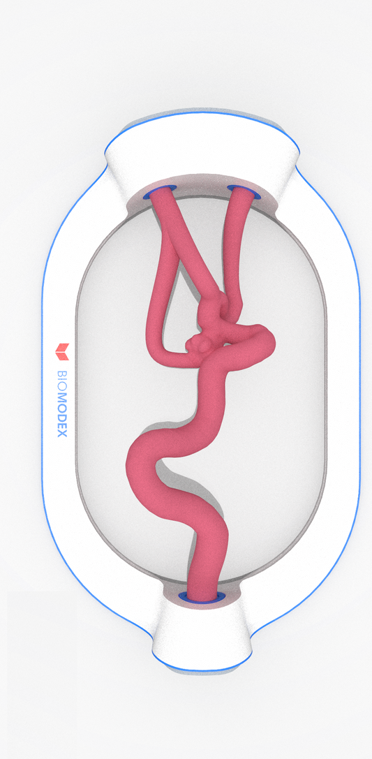 EVIAS -HMS -Cartridge - #0467