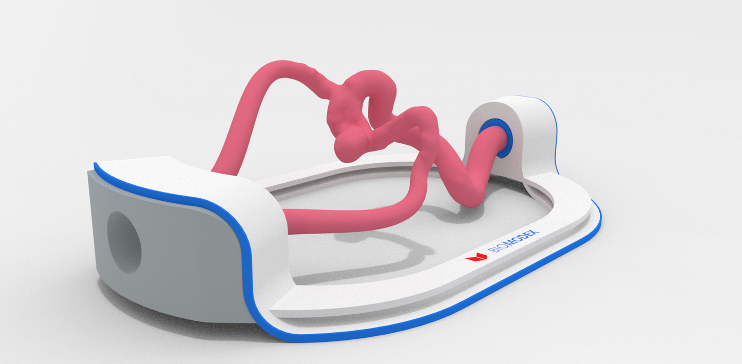 EVIAS -HMS -Cartridge - #400