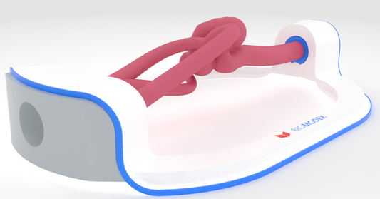 EVIAS -HMS -Cartridge - #0756