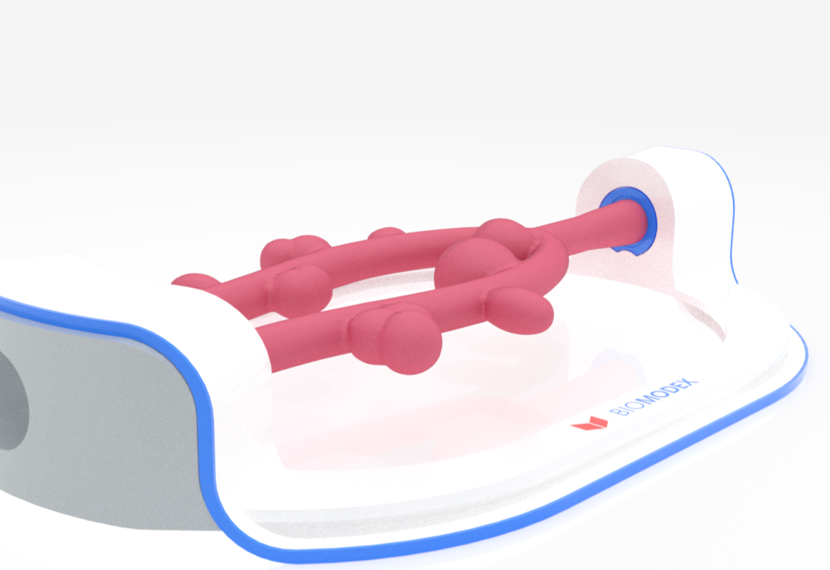 EVIAS -HMS -Cartridge - Clear#0650