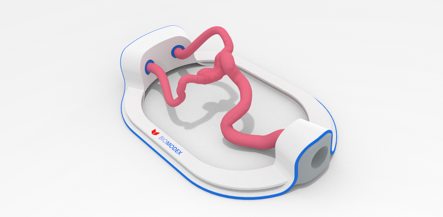 EVIAS -HMS -Cartridge - Clear#400