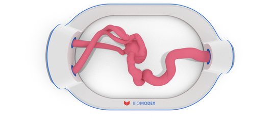 EVIAS -HMS -Cartridge - #39