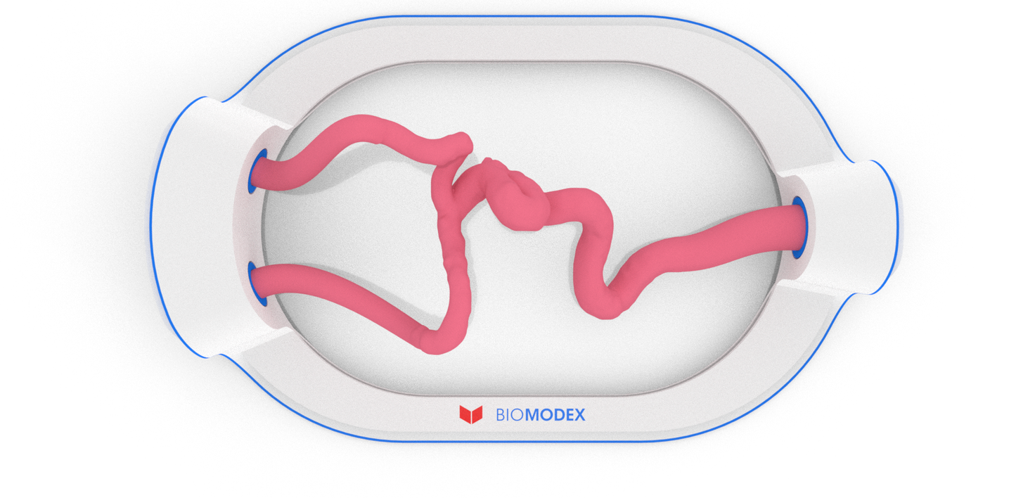 EVIAS -HMS -Cartridge - #72