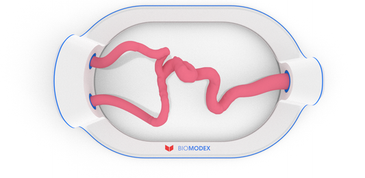 EVIAS -HMS -Cartridge - #72