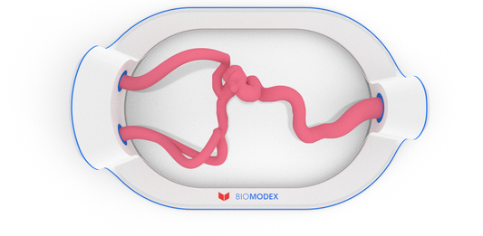 EVIAS -HMS -Cartridge - #73