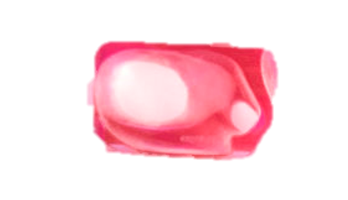 LAACS  - Replaceable Septum 01 -BAAF