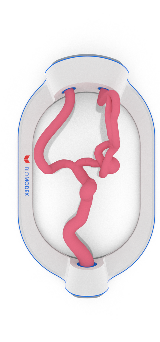 EVIAS -HMS -Cartridge - #191
