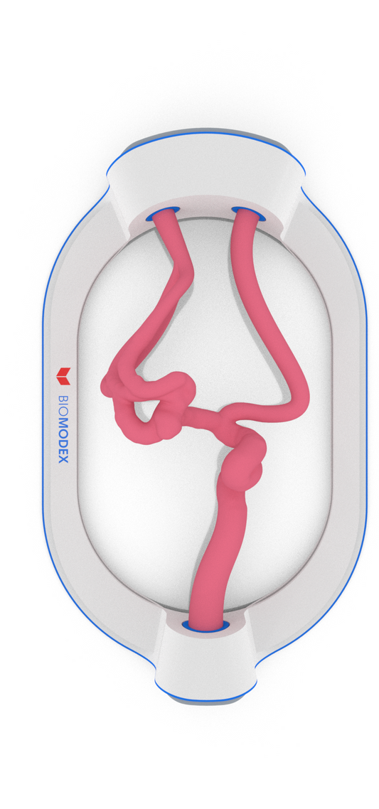 EVIAS -HMS -Cartridge - #192