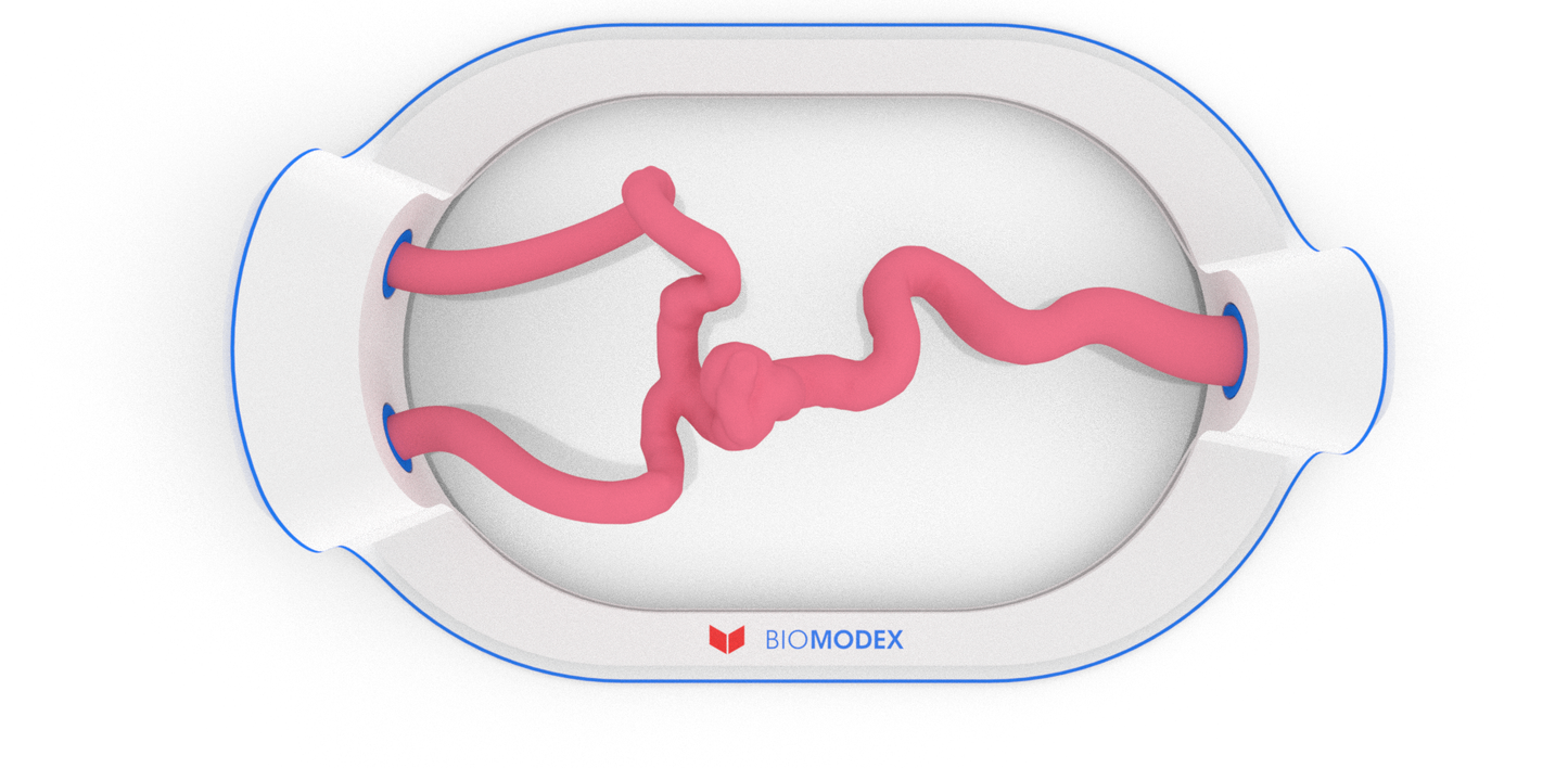 EVIAS -HMS -Cartridge - #76