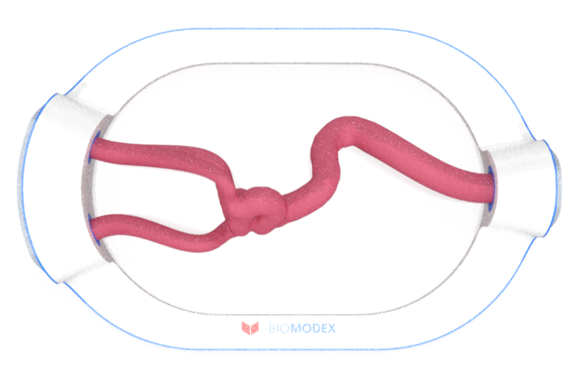 EVIAS -HMS -Cartridge - #0676