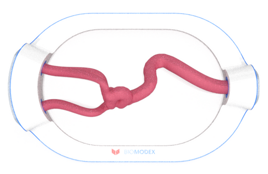 EVIAS -HMS -Cartridge - #0676