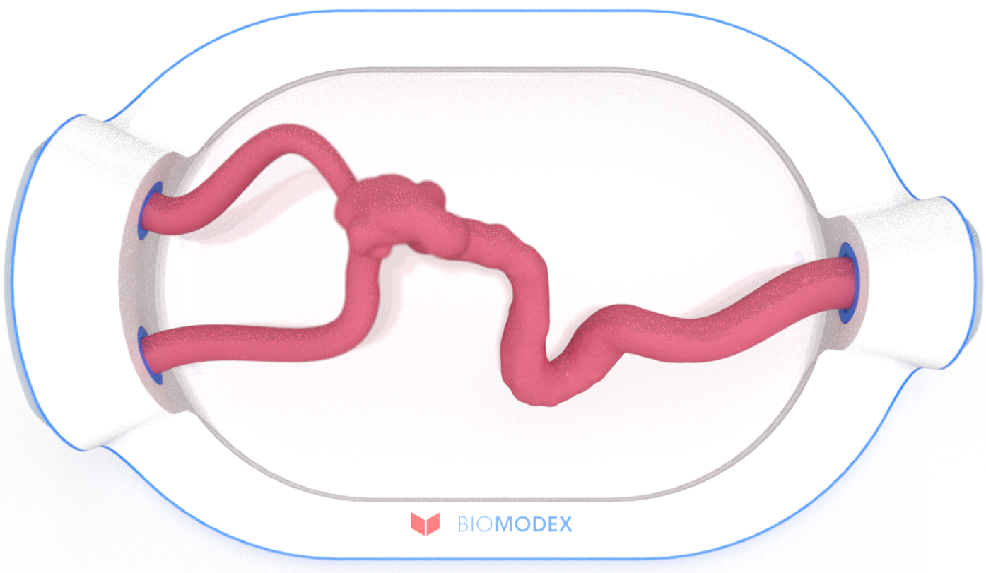 EVIAS -HMS -Cartridge - #0713