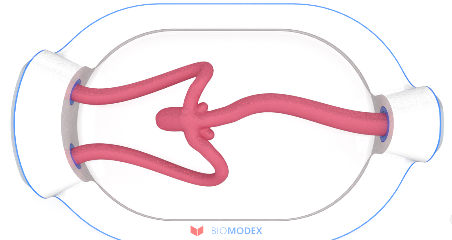 EVIAS -HMS -Cartridge - #348