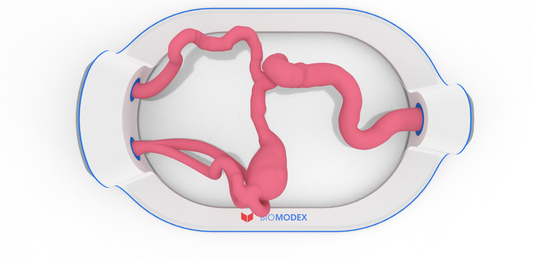 EVIAS -HMS -Cartridge - #344