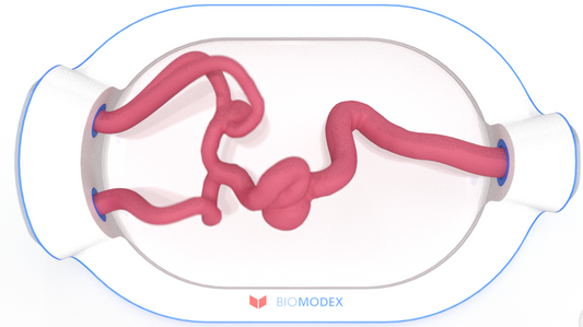 EVIAS -HMS -Cartridge - #0503