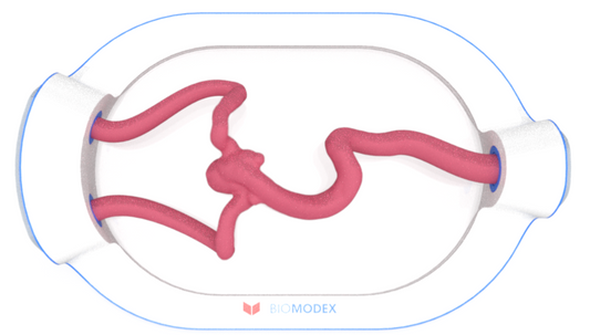 EVIAS -HMS -Cartridge - #0697