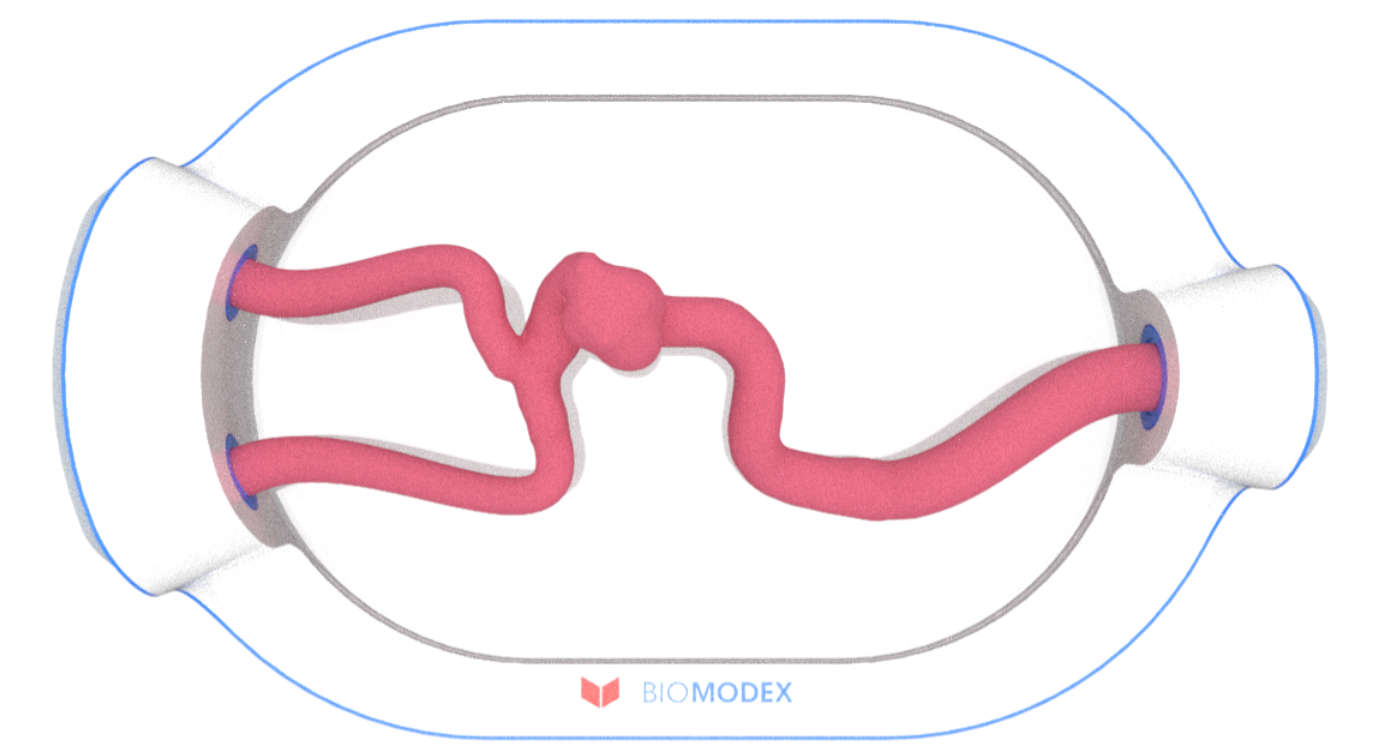 EVIAS -HMS -Cartridge - #0579