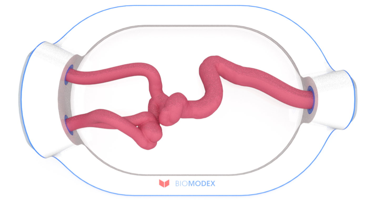 EVIAS -HMS -Cartridge - #0644