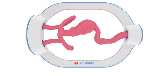 EVIAS -HMS -Cartridge - #80