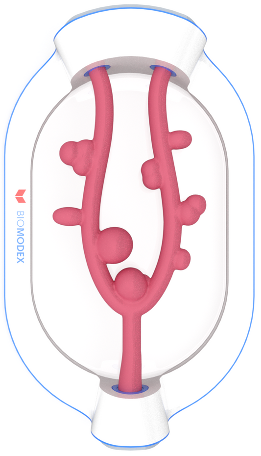 EVIAS -HMS -Cartridge - #0650