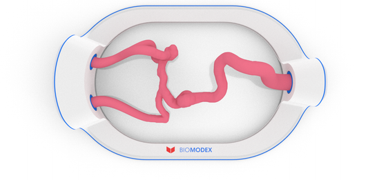 EVIAS -HMS -Cartridge - #5