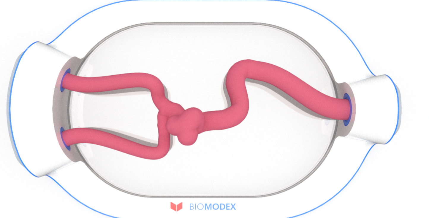 EVIAS -HMS -Cartridge - #0554