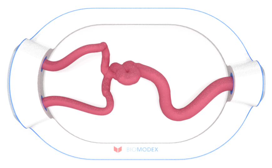 EVIAS -HMS -Cartridge - #0670