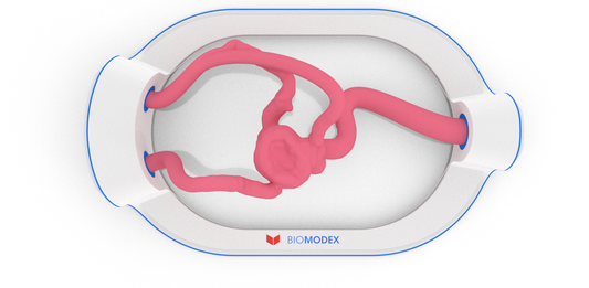 EVIAS -HMS -Cartridge - #65