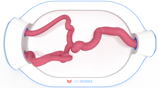 EVIAS -HMS -Cartridge - #0484